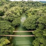 WhatsApp Image 2024-11-07 at 11.32.55 (1)