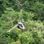 WhatsApp Image 2024-11-07 at 11.32.55