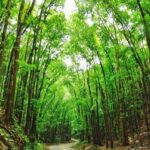 WhatsApp Image 2024-11-07 at 11.32.55 (2)