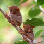 WhatsApp Image 2024-11-07 at 11.32.56