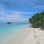 WhatsApp Image 2024-11-07 at 11.47.02