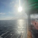 WhatsApp Image 2025-01-16 at 15.45.42_461a77e7