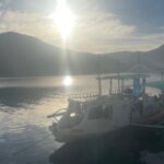 WhatsApp Image 2025-01-16 at 15.45.45_534d8476