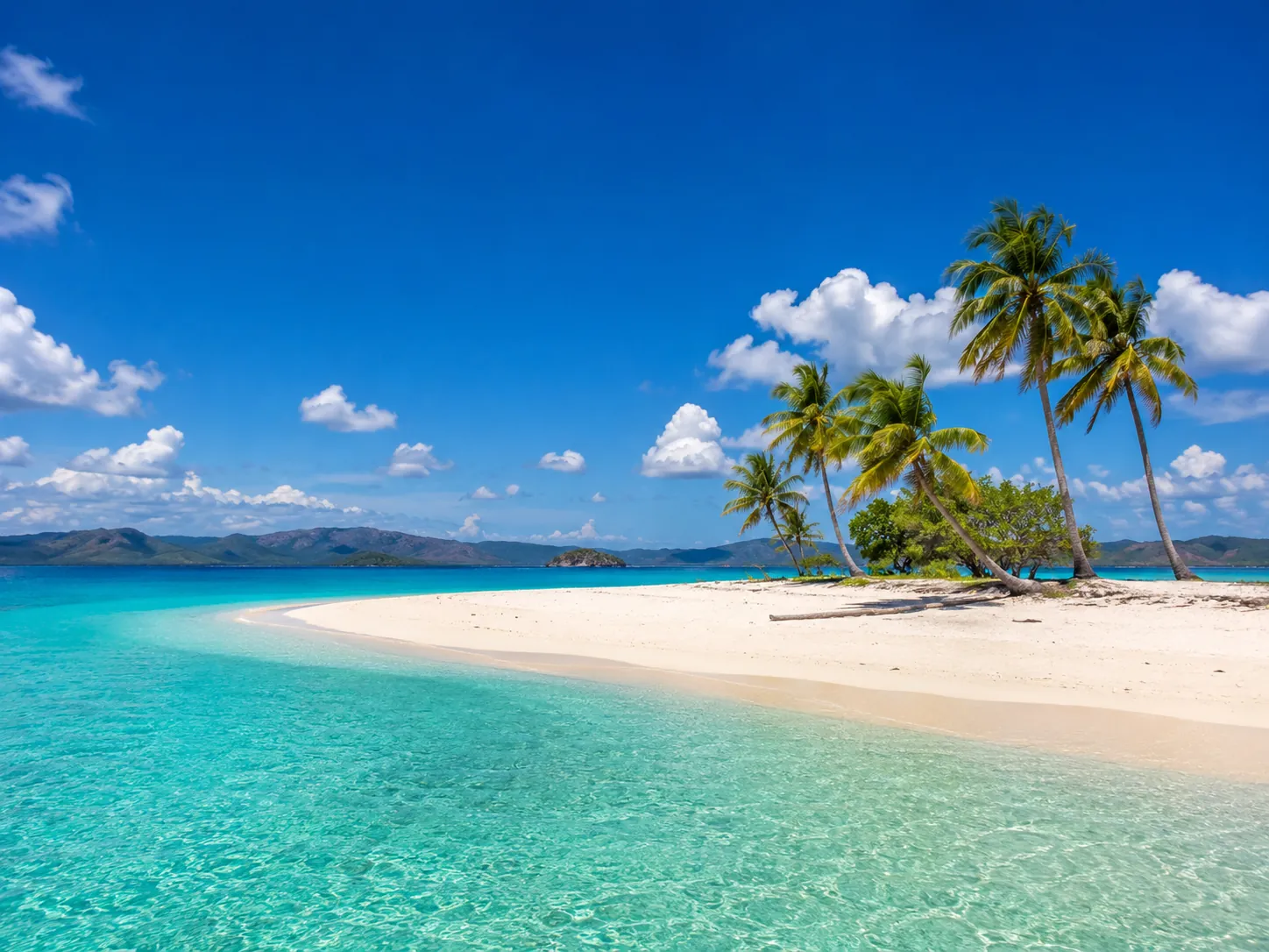 Coron Island Escapade Tour Malcapuya Island Coco Beach Ditaytayan Sandbar